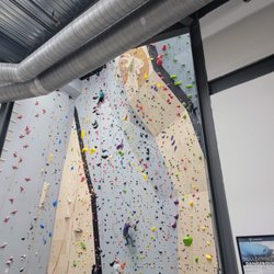 Goat Climbing Gym - View of part of the wall
