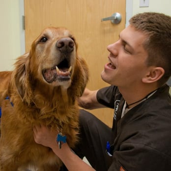 West Shore Animal Clinic - Veterinarians Near Me - Warwick, Rhode Island West Shore Animal Clinic - Veterinarians Near Me - Warwick, Rhode Island