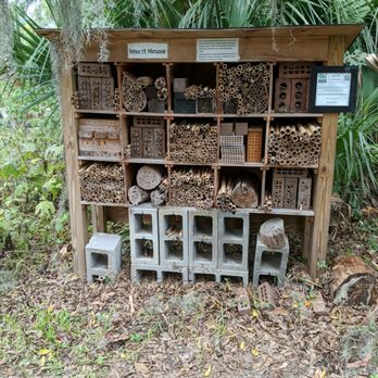 Coastal Discovery Museum - Insect house - Museums Near Me - Hilton Head Island, South Carolina