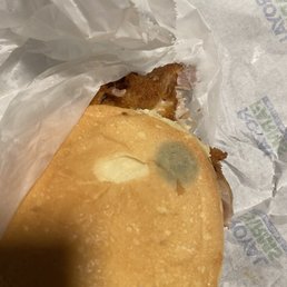 Chesapeake pulled chicken sandwich with molded bun