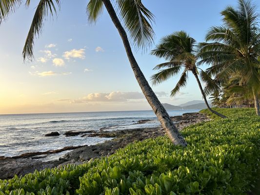 Paradise Cove Luau by null