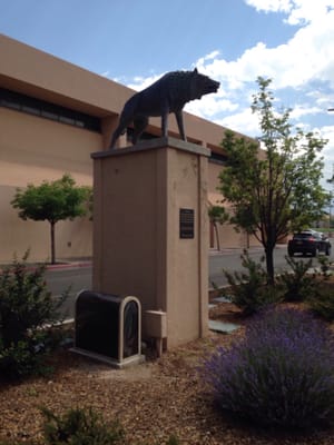 University of New Mexico Art Museum by null