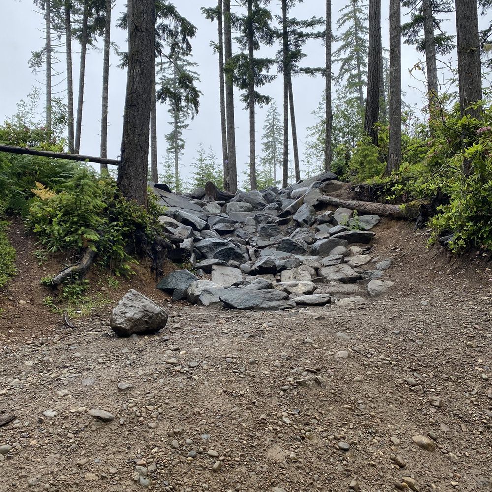 Tahuya State Forest 4x4 Park - Parks Near Me Tahuya State Forest 4x4 Park - Parks Near Me