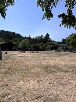 Orcas Island Farmer's Market by null