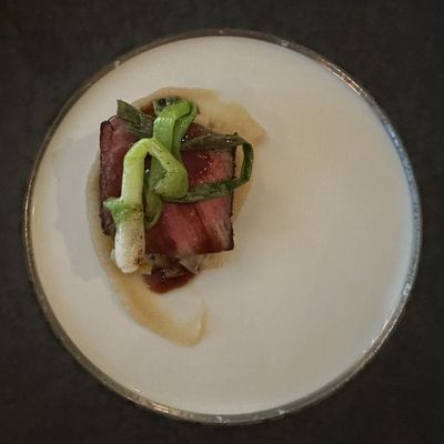 The Painted Lady by null