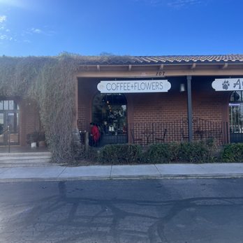 Jasmine Jo - Outside - Coffee & Tea Near Me - Tempe, Arizona Jasmine Jo - Outside - Coffee & Tea Near Me - Tempe, Arizona