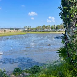 Golden Shore Marine Preserve - Low Tide - The Birds Seem to Like It