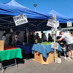 Sunday Marin Civic Center Farmers Market - I generally don't like fruits, but I've become addicted to their watermelon and figs that are so sweet and delicious.
