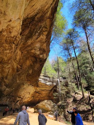 Hocking Hills State Park by null