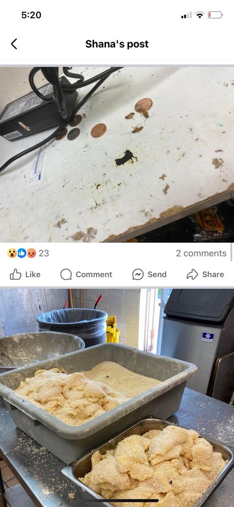 Food from Asia Cafe And Grill