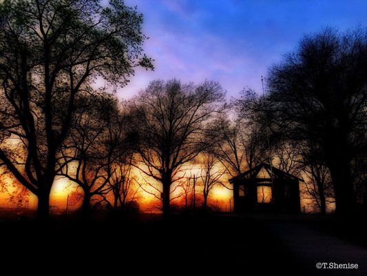 Leonard Gordon Park by null