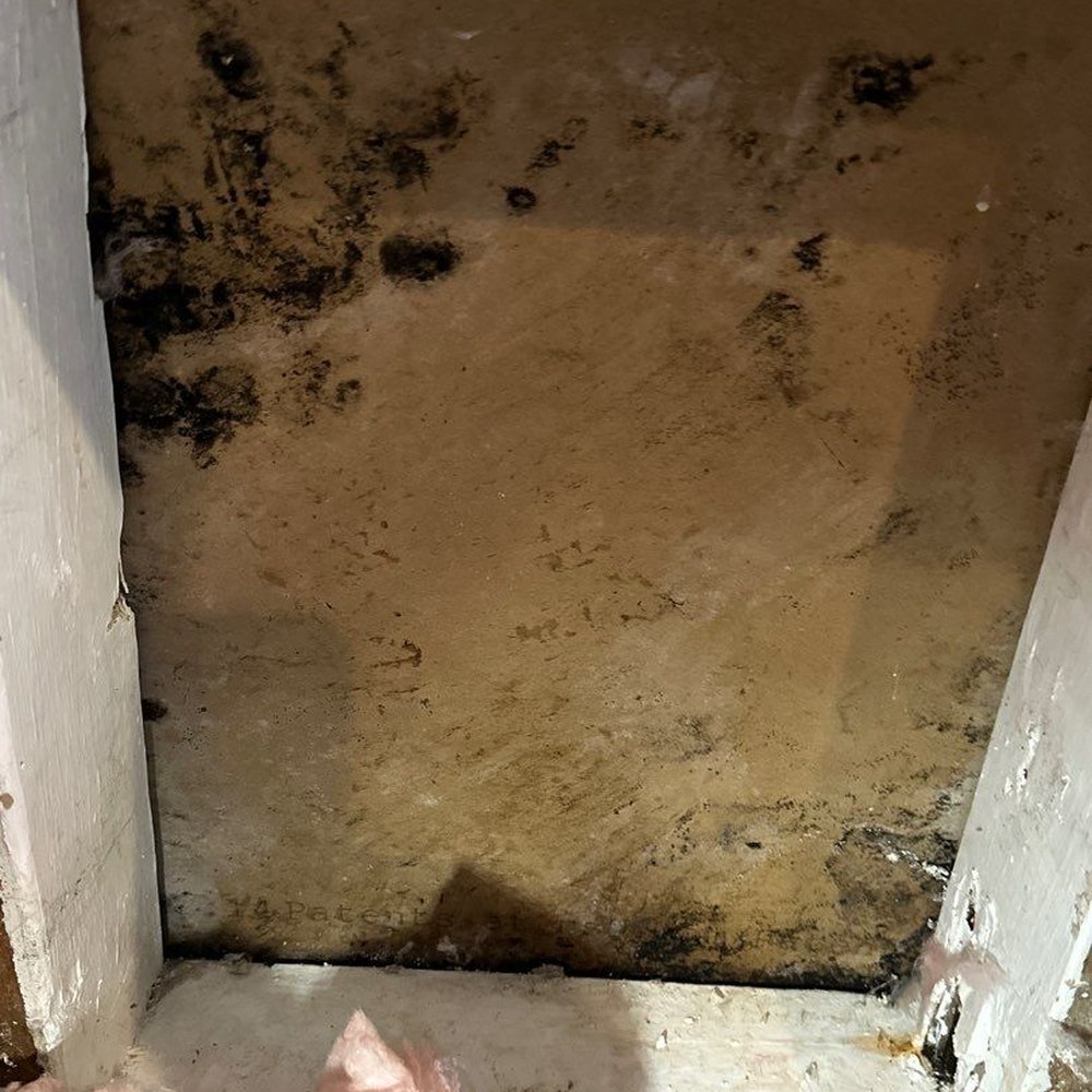 ARS Rescue Rooter - MOLD on the other side of the wall, directly under the new AC. - Plumbing Near Me - Manassas, Virginia ARS Rescue Rooter - MOLD on the other side of the wall, directly under the new AC. - Plumbing Near Me - Manassas, Virginia
