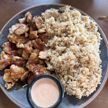 100 Ramen & Bar - Hibachi Chicken and Rice - Sushi Bars Near Me - Chattanooga, Tennessee