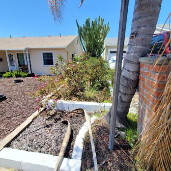 Marcos Maintenance - Before - Landscaping Near Me Marcos Maintenance - Before - Landscaping Near Me