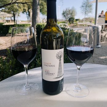 Signor Vineyards - Wine Tasting Room Near Me - Fredericksburg, Texas