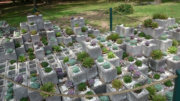 Jardín Botánico del Bosque de Chapultepec by null