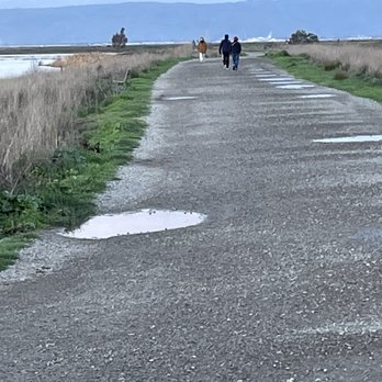 Shoreline Parklands At Mountain View - Great trail for walks, runs, groups, and bikes. - Parks Near Me - Mountain View, California