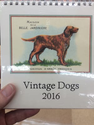 Kinokuniya Bookstore - Santa Monica by null