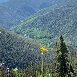 Big Al Horseback Tours - View from the encampment