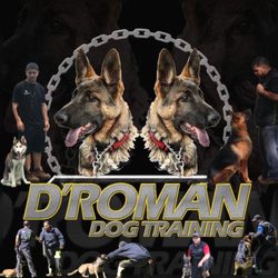 D'Roman Dog Training - Obedience, dog behavior modification, service dog and protection dogs