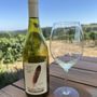 Photo of Raptor Ridge Winery