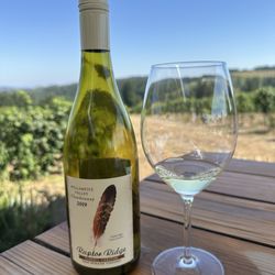 Raptor Ridge Winery - Chardonnay