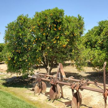 Gless Ranch Fresh Citrus - Fruits & Veggies Near Me - Riverside, California