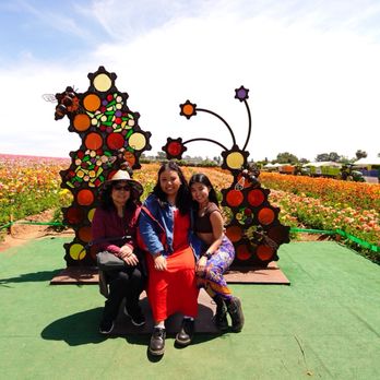 The Flower Fields - Venues & Event Spaces Near Me - Carlsbad, California