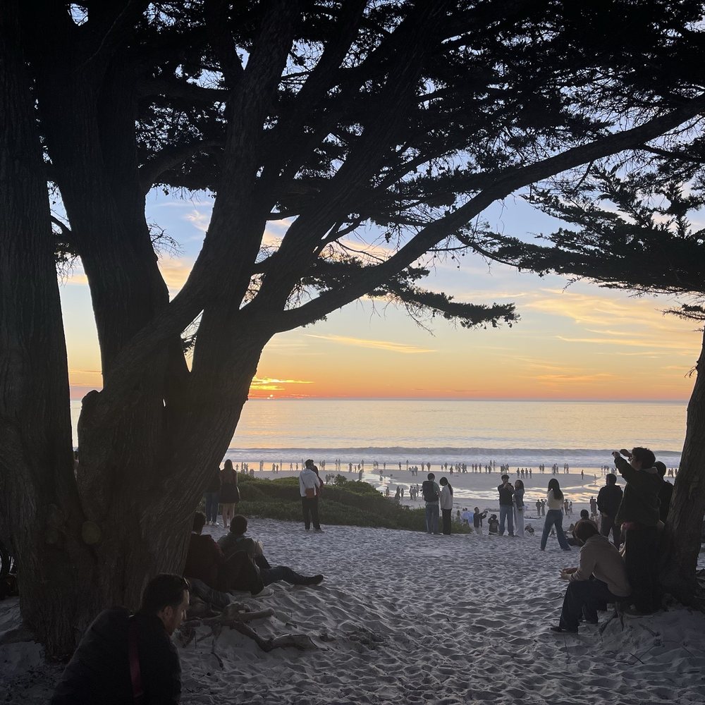 TOP 10 BEST Bed & Breakfast near Carmel-by-the-Sea, CA 93921 - Updated 2026  - Yelp