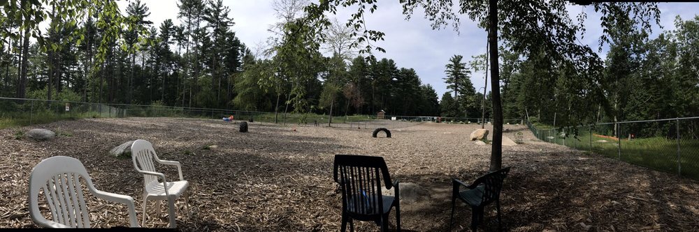 Wasserman Park Dog Park Image