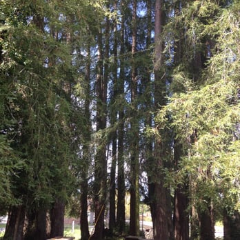Freestone Artisan Cheese - Picnic tables - Cheese Shops Near Me - Freestone, California