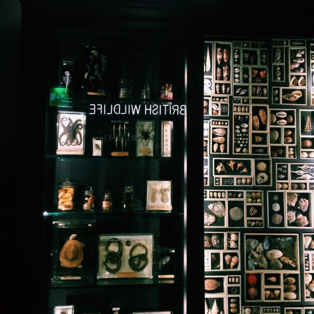 Manchester Museum - Museums Near Me - Manchester, XGM Manchester Museum - Museums Near Me - Manchester, XGM