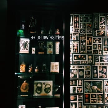 Manchester Museum - Museums Near Me - Manchester, XGM Manchester Museum - Museums Near Me - Manchester, XGM
