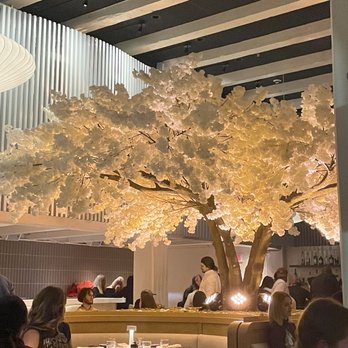 Janken - Japanese Near Me - Portland, Oregon Janken - Japanese Near Me - Portland, Oregon