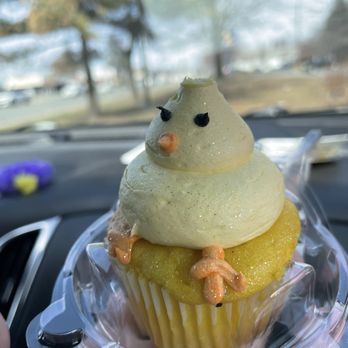 Coccadotts Cake Shop - Lemon Cupcake - Bakeries Near Me - Albany, New York Coccadotts Cake Shop - Lemon Cupcake - Bakeries Near Me - Albany, New York