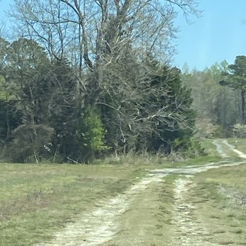 Parks Bonsai Farm Nursery - The road to the farm - Nurseries & Gardening Near Me - Suffolk, Virginia Parks Bonsai Farm Nursery - The road to the farm - Nurseries & Gardening Near Me - Suffolk, Virginia
