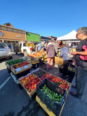 Arcata Plaza Farmers' Market by null