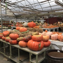 Town & Country Farm & Garden Center