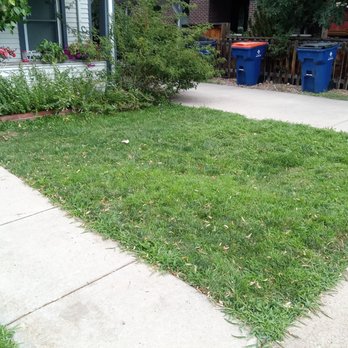 Mile High Green Solutions - An amazing front yard lawn! - Lawn Services Near Me - Aurora, Colorado