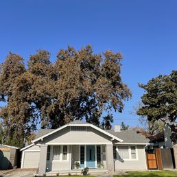 Before: With Oak tree we needed removed
