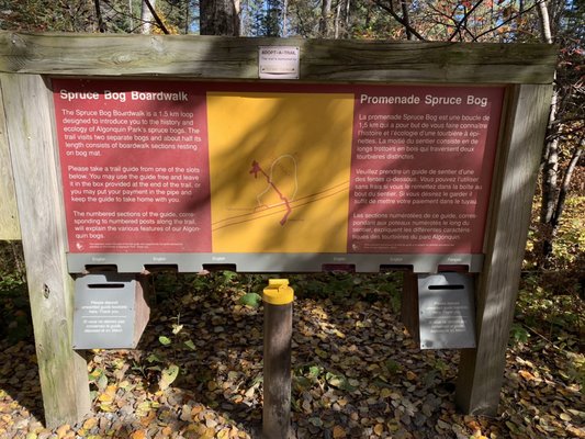 Algonquin Provincial Park by null