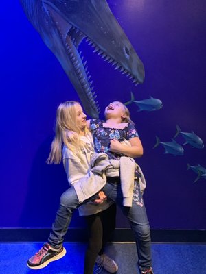 Newport Aquarium by null