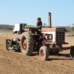 Sep's Farms