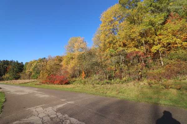 Boyd Conservation Park by null