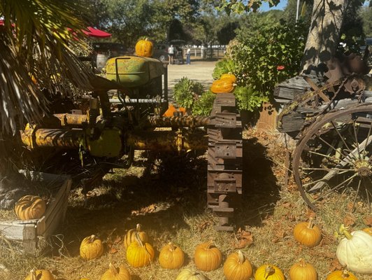Summerset Farm by null