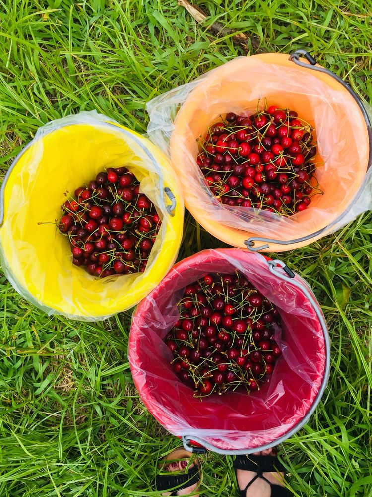 OVERHISER ORCHARDS 81 Photos & 20 Reviews 6405 109th Ave, South