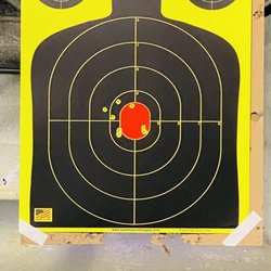 Firing Line Gun Range - Beginner's Target Practice Hits