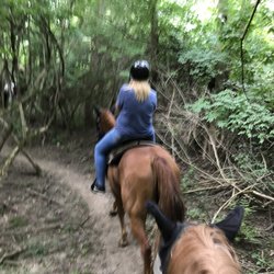 Kankakee State Park Riding Stables