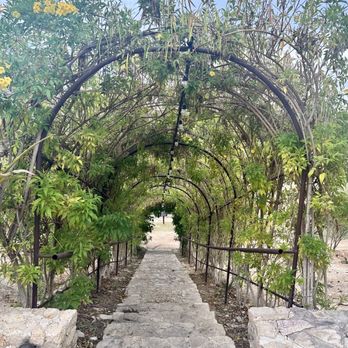 Tamarindos - Steps leading to garden - Mexican Near Me - San José del Cabo, BCS