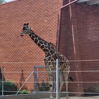 Denver Zoo - Zoos Near Me - Denver, Colorado